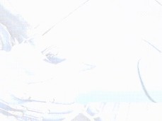 Sams gif