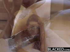 bbc doggie gif