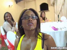 #dancing-bear #facial gif