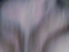 Fucking Latin wife doggystle POV gif