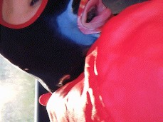 mjsnake doggy dogging gif