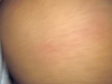 BBS3 gif