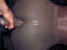 leggings anal gif