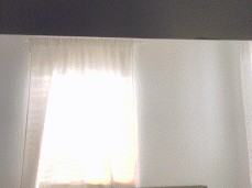 Hot Ass Stud gif