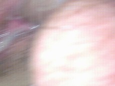 pussy gif