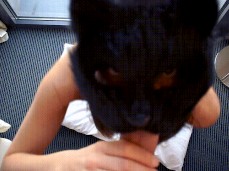 france gif