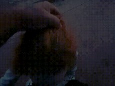 4064056 gif