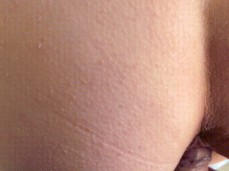doggy insert gif
