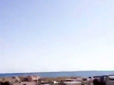 slutd gif