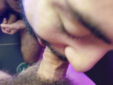 like bear cock gif