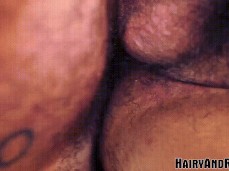 i like bear cock gif