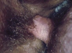 i like bear cock gif
