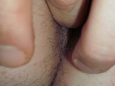 finerg ass gif