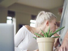 Blowjob gif