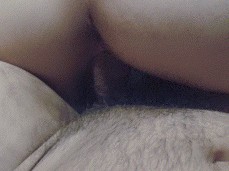 Best ride ever gif