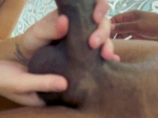Bestbj gif
