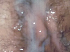 Creampie Lick gif