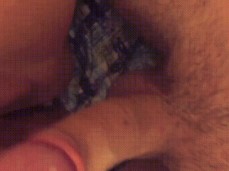 assss gif