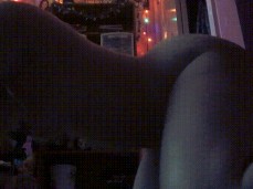 doggy dildo gif