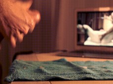 Warm cum load for you 💦🌶 gif
