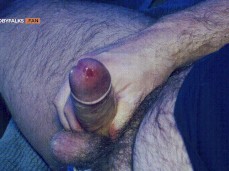 Big, fat, precum , uncut cock 0016-1 gif