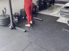 ass at work gif