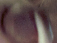 Covering you in cum gif