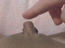 aaaaa gif