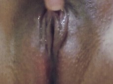 show pussy gif