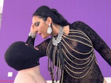 sinns spit gif