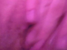 Juicy wet fingering gif