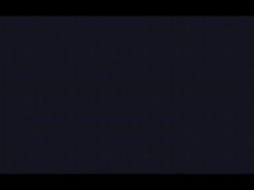 Nimmerzat gif