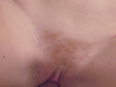 sx nm gif