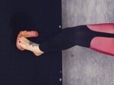 wsedrf gif