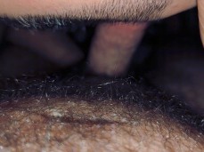 sucking dick gif